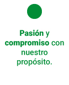 CEMAIPO